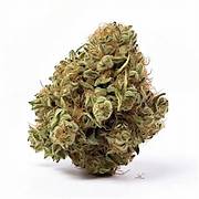 28G Blue Cheese