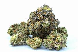 Pink Rockstar