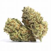 28G Pink Cookies