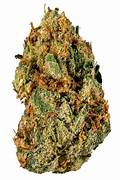Jelly Sickle