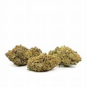 Sour Cookies
