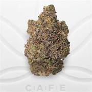 Lemon Cherry Gelato