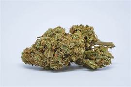 28G Jet Fuel