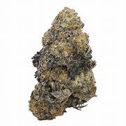 28G Gas Face