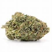 Gorilla Pink